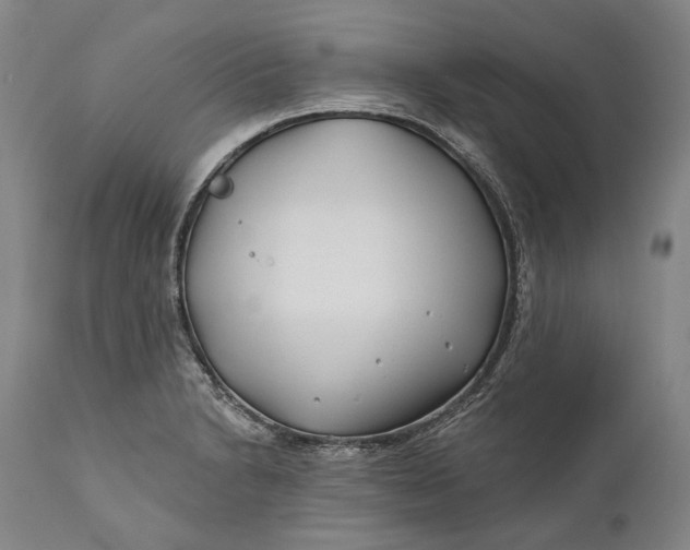 X0000111671230200908071449