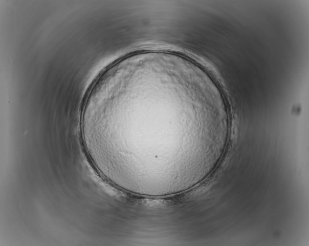 X0000111671231200908071449