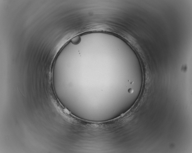 X0000111671234200908071450