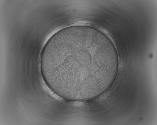 X0000111671235200908071450