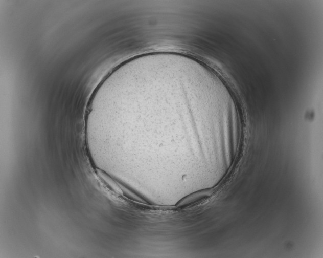 X0000111671236200908071450