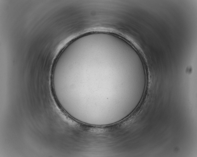 X0000111671237200908071450