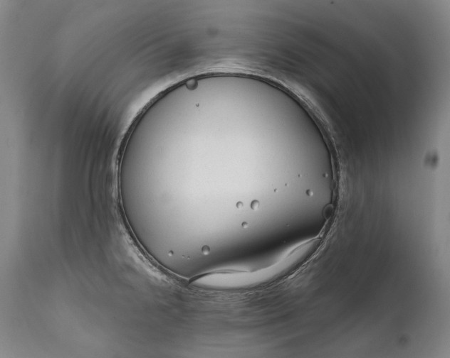 X0000111671238200908071450