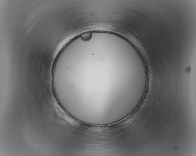 X0000111671240200908071450