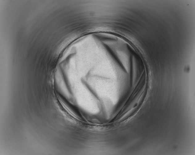 X0000111671241200908071450