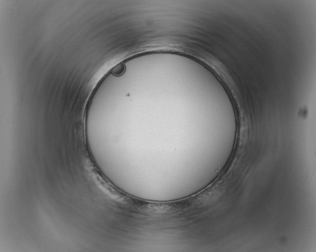 X0000111671242200908071450