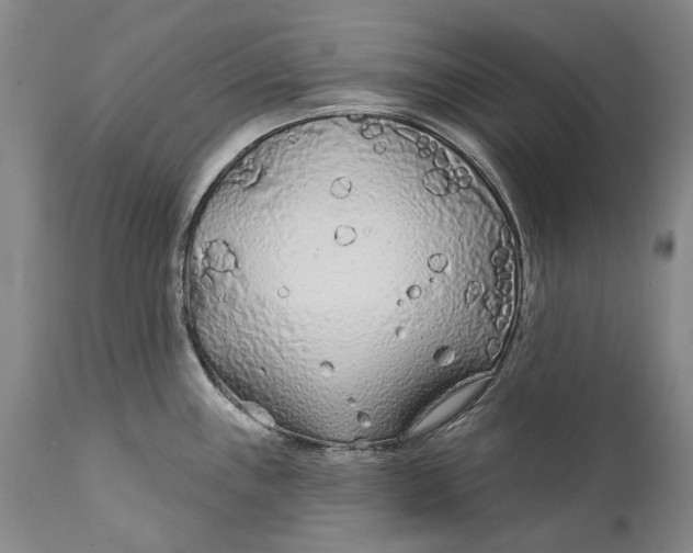 X0000111671243200908071450