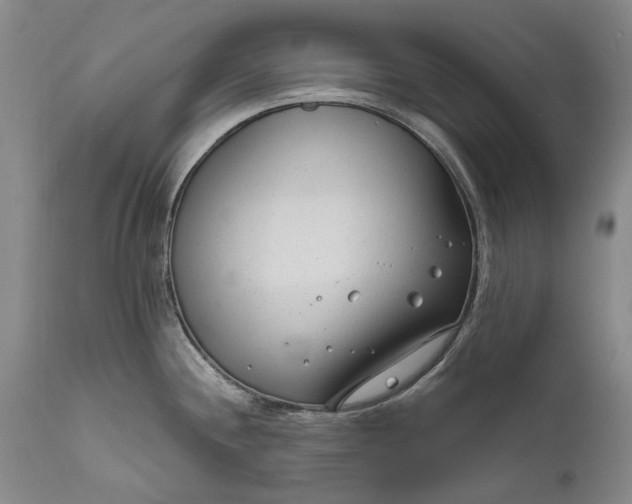 X0000111671244200908071450