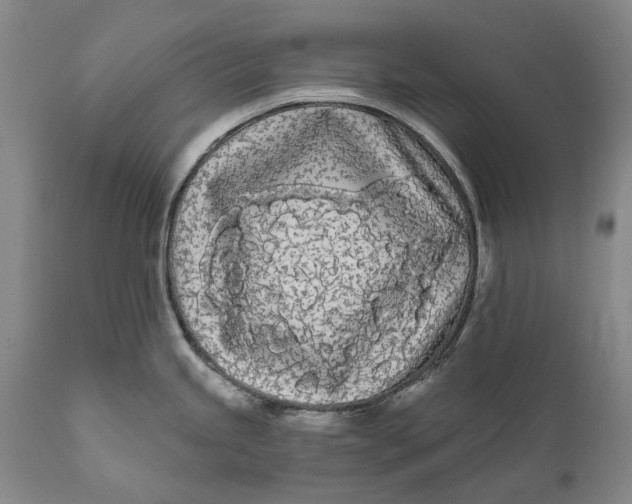 X0000111671245200908071450