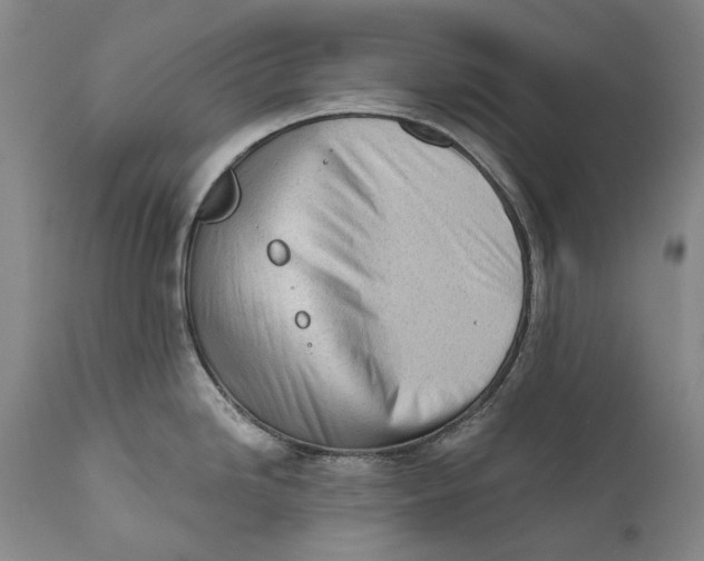 X0000111671246200908071450