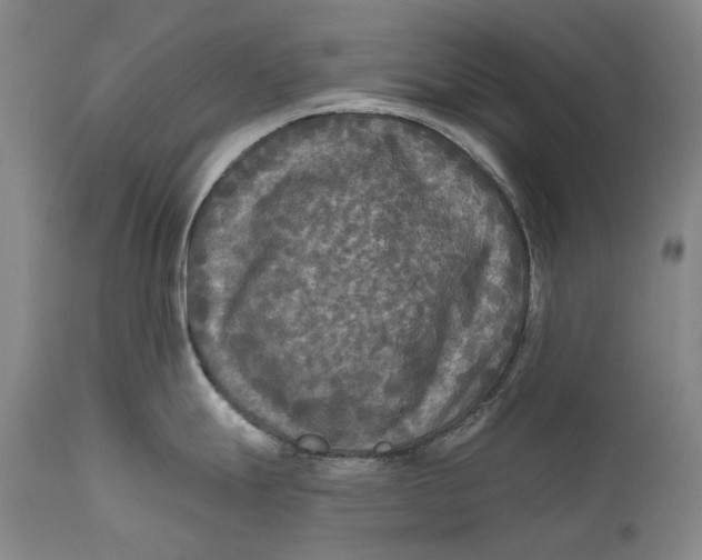 X0000111671247200908071450