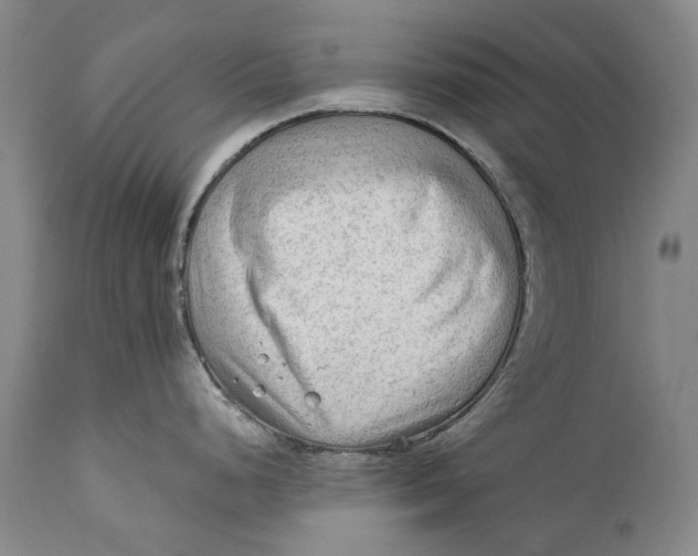 X0000111671248200908071450