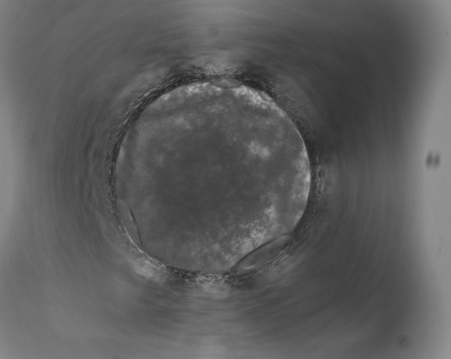 X0000111671249200908071449