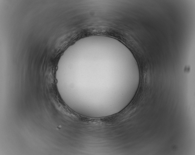 X0000111671250200908071449