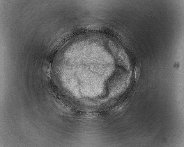 X0000111671251200908071449