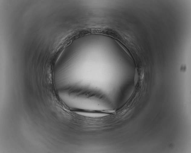 X0000111671252200908071449