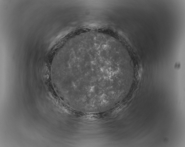 X0000111671253200908071449