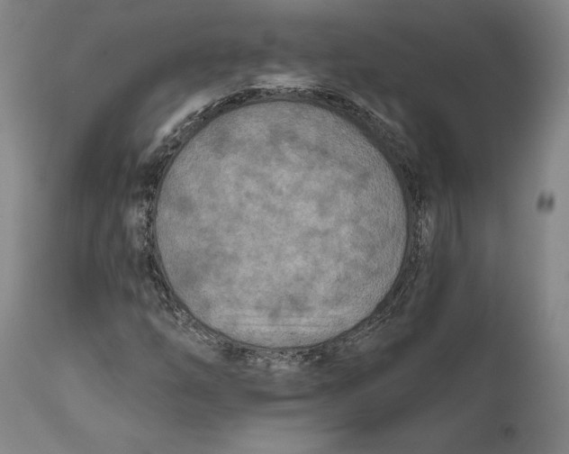 X0000111671254200908071449