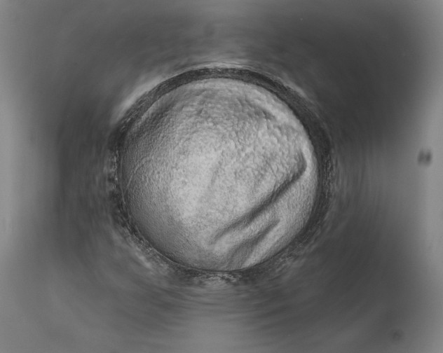 X0000111671255200908071449