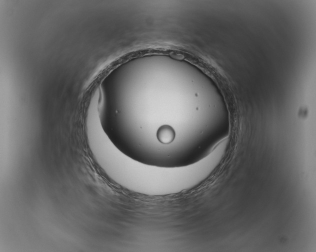 X0000111671256200908071449