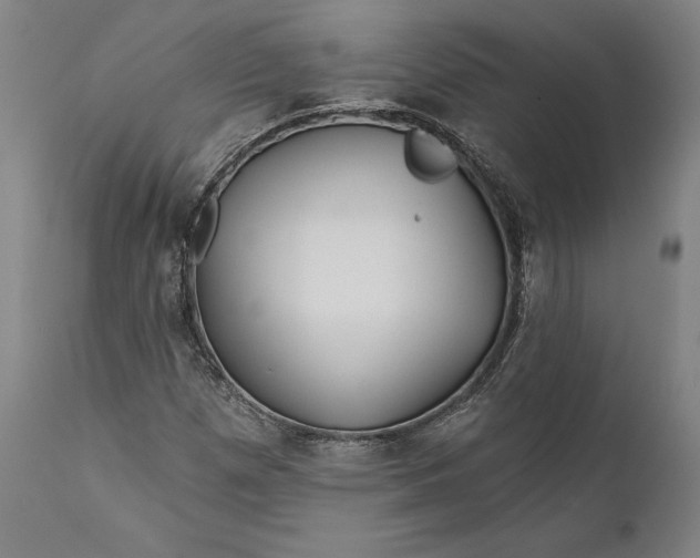 X0000111671257200908071449