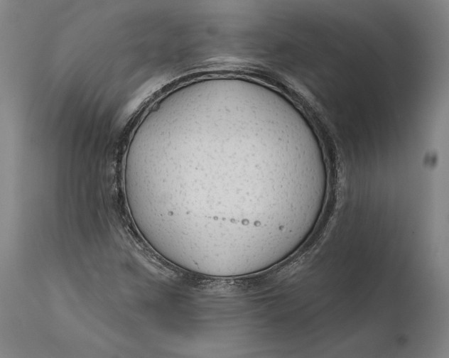 X0000111671259200908071449