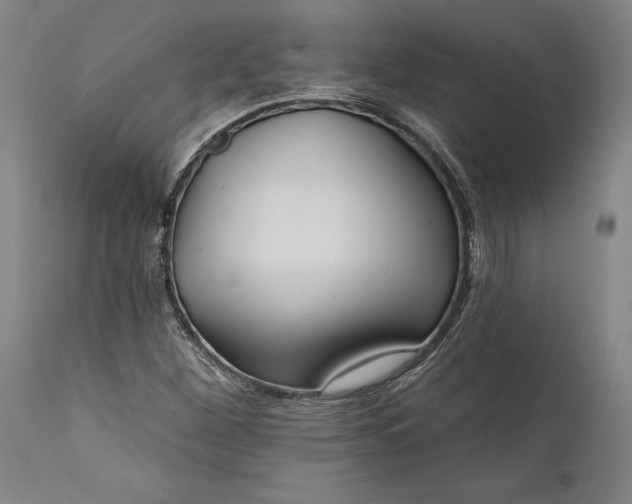 X0000111671260200908071449