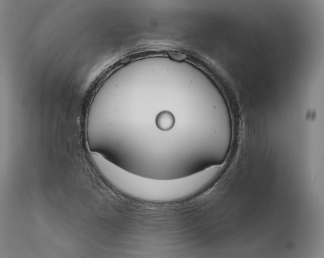 X0000111671261200908071449