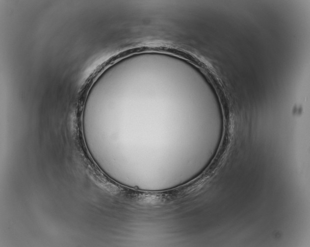 X0000111671263200908071449