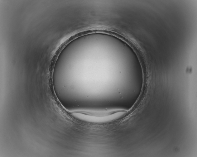 X0000111671264200908071449