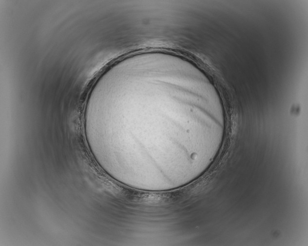 X0000111671266200908071449