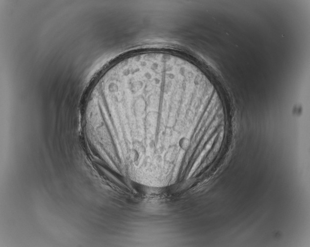 X0000111671267200908071449