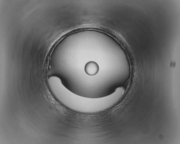 X0000111671268200908071449