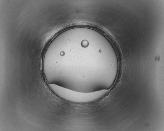 X0000111671269200908071449