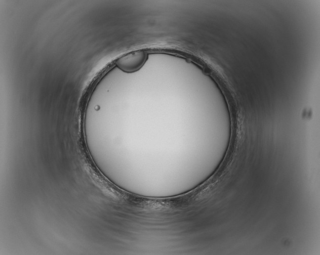 X0000111671270200908071449