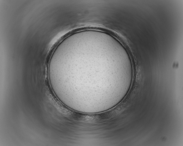 X0000111671271200908071449