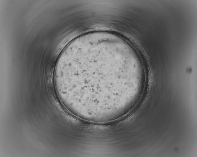 X0000111671273200908071449