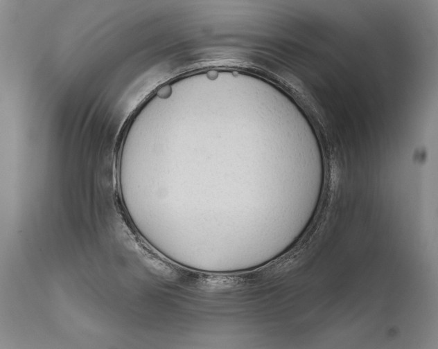 X0000111671274200908071449