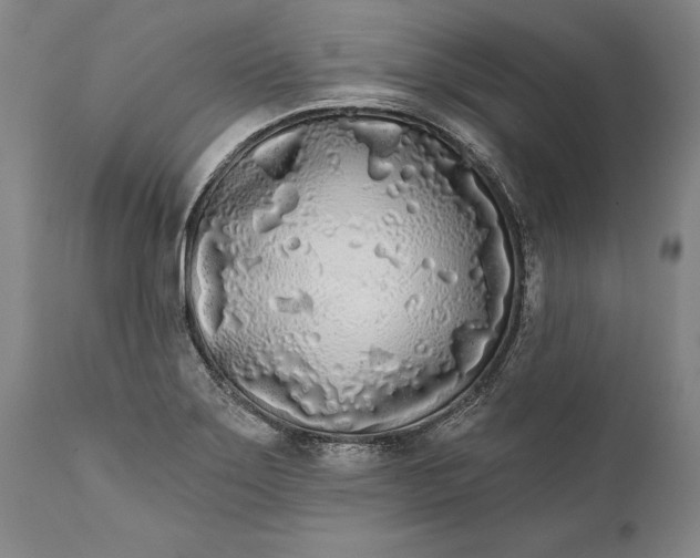 X0000111671275200908071449