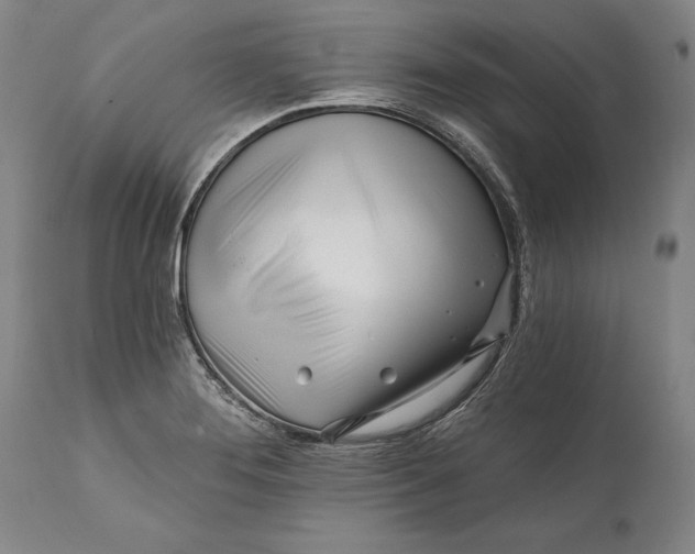 X0000111671276200908071449