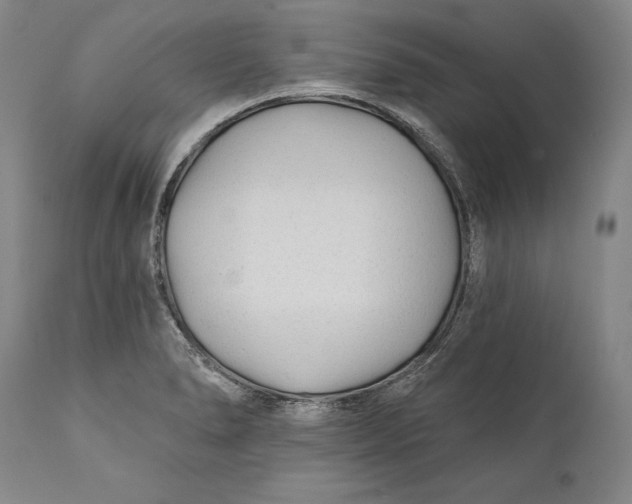 X0000111671278200908071449