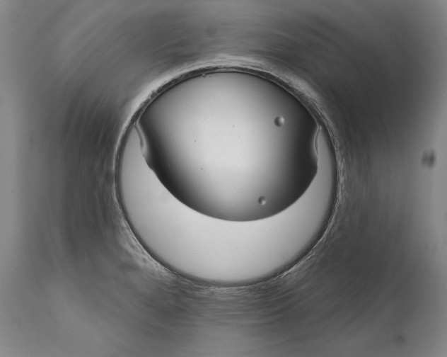 X0000111671280200908071448