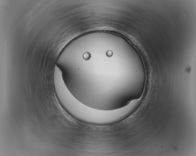 X0000111671281200908071448