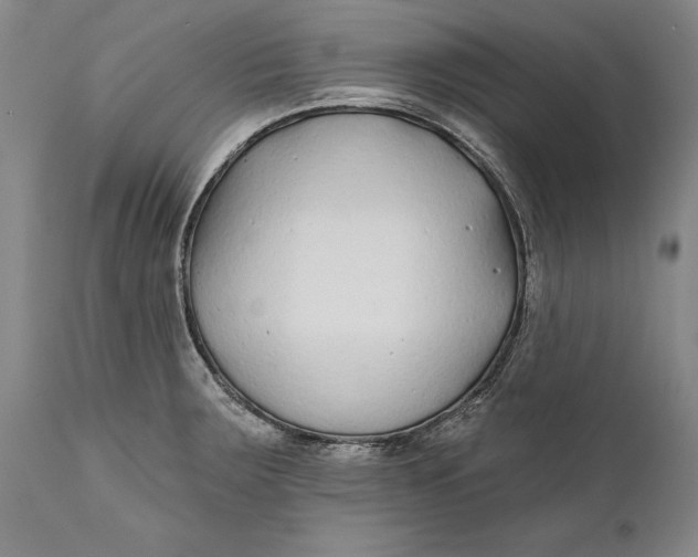 X0000111671283200908071448