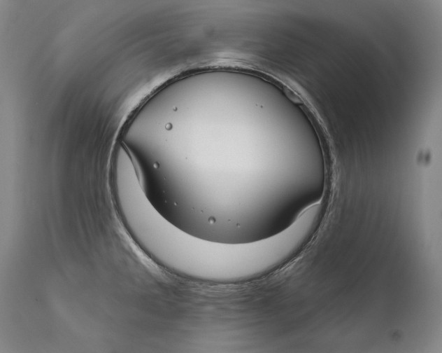 X0000111671285200908071448