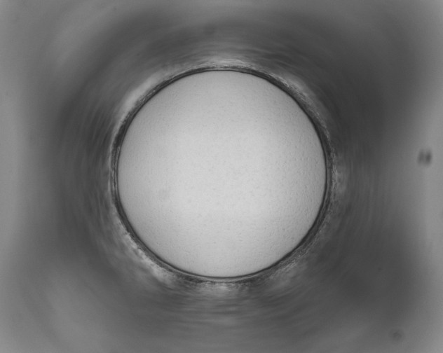 X0000111671286200908071448