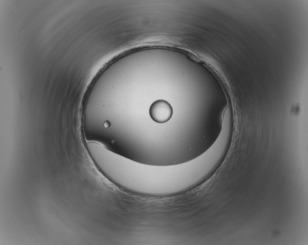 X0000111671288200908071448