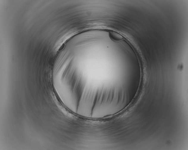 X0000111671289200908071448