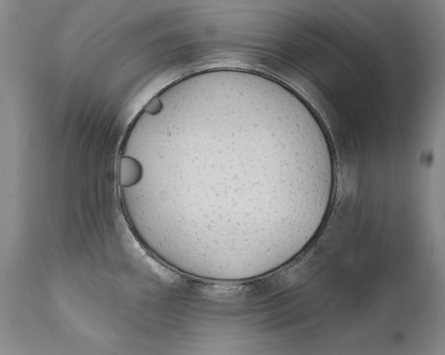 X0000111671290200908071448