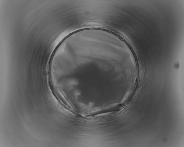 X0000111671291200908071448